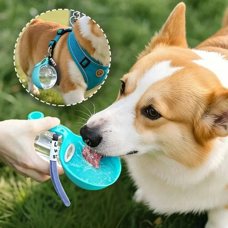 Portable 2-in-1 Water Bottle for Dogs with Built-in Collapsible Bowl, Ideal for Outdoor Walks, Hiking, Travel, Compact Hydration